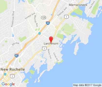 logo-image - larchmont-ny